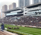 Shatin Hong Kong (hri)