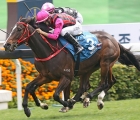 The-stewards-cup-group-1-3yo-course-a3-turf-g1-ha-vinto Waikuku Harbour Watch