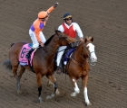 Beholder is one of just two horses to have won three Breeders’ Cup races