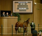 Beholder’s $8.2 million yearling half-sister by American Pharoah, 9 /10/2019, Keenland