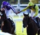 Donnacha O’Brien is congratulated by James Doyle after Magical’s defeat of Addeybb in the Champion Stakes