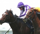 Kew Gardens-left-beat-Stradivarius-by-a-nose-in-a-thrilling-finish-to-the-long-distance-cup-19-10-2019-ascot