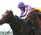 Kew Gardens-left-beat-Stradivarius-by-a-nose-in-a-thrilling-finish-to-the-long-distance-cup-19-10-2019-ascot