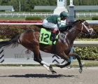 expert-pick-of-the-week-haskell-stakes-17-luglio-2020-gulfstream-park-usa