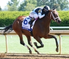 speech-enhances-oaks-credentials-with-convincing-ashland-win-usa-12-07-2020