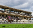 grand-steeple-chase-de-paris-docteur-de-ballon-conserve-son-titre-fra-23-05-2021