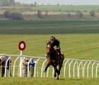 Training at Newmarket 23 04 2020
