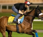 almond-eye-potential-star-of-the-show-on-world-cup-night-in-the-dubai-turf
