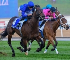 blue-point-in-action-in-al-quoz-sprint-2019
