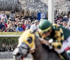 Gulfstream Park 2020: fans-watch-as-horses-head-toward-finish