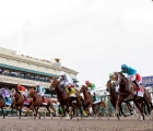 Mar 31, 2018; Hallandale Beach, FL, USA; The field leaves the gate for the start of the 67th running of the Florida Derby at Gulfstream Park. Mandatory Credit: Douglas DeFelice-USA TODAY Sports