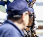 Gulfstream Park 2020:  horse eye-contact