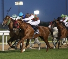 Somoud-fr-and-Pat-Cosgrave-win-the-group-1-emirates-championship-for-trainer-ahmed-al-mehairbi-presso-abu-dhabi-city-golf-club-21-03-2020