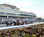 Gulfstream Park 2020: start-of-the-florida-derby