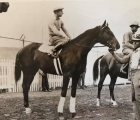 This-is-a-1934-photo-of-Cavalcade-prior-to-winning-the-1934-kentucky-derby-after-his-victory-he-would-be-on-the-cover-of-time-magazine