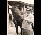 This-is-a-1938-photo-showing-Bing-Crosby-with-his-horse-Ligaroti-prior-to-the-del-mar-match-race-with-Seabiscuit Ligaroti-was-by-fogon-out-of-liri