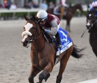 Tiz-The-Law-the-holy-bull-favorito-del-kentucky-derby-2020