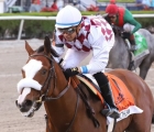 Tiz-The-Law-vince-il-curlin-florida-derby-a-gulfstream-park-28-03-2020