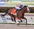 Tiz-The-Law-winner-of-the-curlin-florida-derby-2020-28-marzo-gulfstream-park-florida