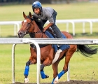 Enable and her lad Imran Shahwani canter on Warren Hill this morning