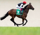 Star Catcher, ears pricked, and Frankie Dettori after Irish Oaks success, july 2019