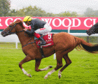 Third Goodwood Cup For Stradivarius