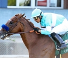 Charlatan-is-among-the-favourites-for-the-kentucky-derby-17-maggio-2020