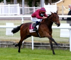 Cherie Amour (Fr) (Shalaa {Ire}) at Clairefontaine is the first winner for her Haras de Bouquetot, 04 06 2020