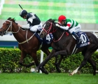 Exultant-sha-tin-racecourse-is-the-last-of-12-group-1-in-hong-kong-23-maggio-2020