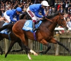 Military March, Godolphin team for the first Classic of the UK season, the G1 2,000 Guineas, at Newmarket on Saturday, 6 June.