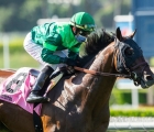 Raging Bull at Santa Anita (USA)