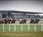The-curragh-horses-in-training-16-05-2020
