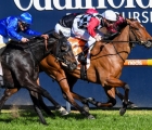 Diamond Effort ridden by Ben Melham wins the Neds The Heath 1100 Stakes  at Caulfield Racecourse on August 29, 2020 in Caulfield, Australia. (Pat Scala/Racing Photos)