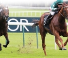 extra-elusive-coolmore-prospect-2020