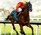 Azul-coast-who-took-to-the-synthetic-track-at-golden-gate-fields-usa-19-02-2020