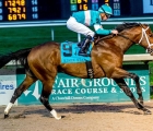 Modernist-made-his-stakes-debut-a-winning-one-in-the-second-division-of-the-risen-star-usa-19-02-2020