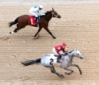 Silver Prospector was the only graded winner entering Monday’s $750,000 Southwest (G3), USA 19 02 2020
