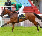 01-07-2020-daughter-of-zarkava-prevails-in-compiegne-debut-fra