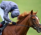 Galileo’s Serpentine Dominates the Derby, UK luglio 2020