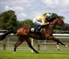 Lawman’s Pretty Gorgeous a New Rising Star At Bellewstown, 03 07 2020