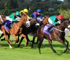 Mick Halford has a strong hand in Wednesday’s 1st july pattern races at Leopardstown, is Ridenza