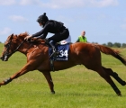 night-of-thunder-colt-25-june-newmarket-uk-top-craven