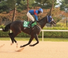 save-the-world-enters-the-kra-cup-mile-as-a-leading-contender-5-luglio-korea