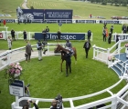 serpentine-in-the-epson-derby-winners-enclosure-uk-july