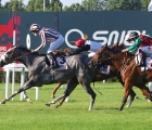 Milano San Siro: sul-traguardo-delle-Oaks-svetta-la-grigia-Auyantepui 5-luglio 2020