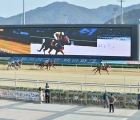 The weekend’s racing gets underway at Busan on Friday 10 07 2020, KRA