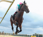 HORSE RACING UK, Tilsit in action 10-07-2020