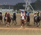 dubai-golden-shaheen-sponsored-by-gulf-news-g1-winner-zenden-uae-27-03-2021