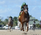 known-agenda-wins-florida-derby-2021