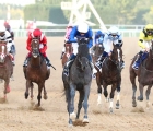 Rebel's Romance romps in UAE derby 27-03-2021